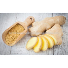 Natural Spray Dried ginger powder